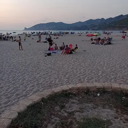 Pavoncella Di S Cali *